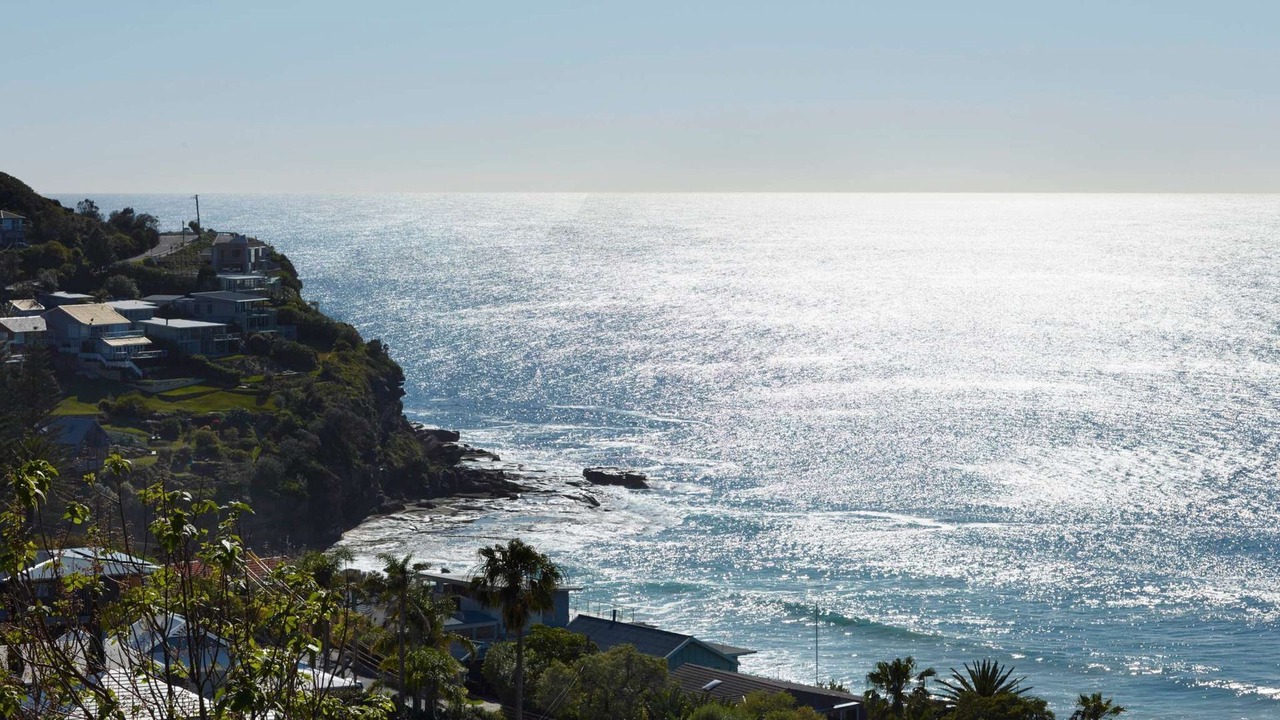 Photo of Others in Whale Beach