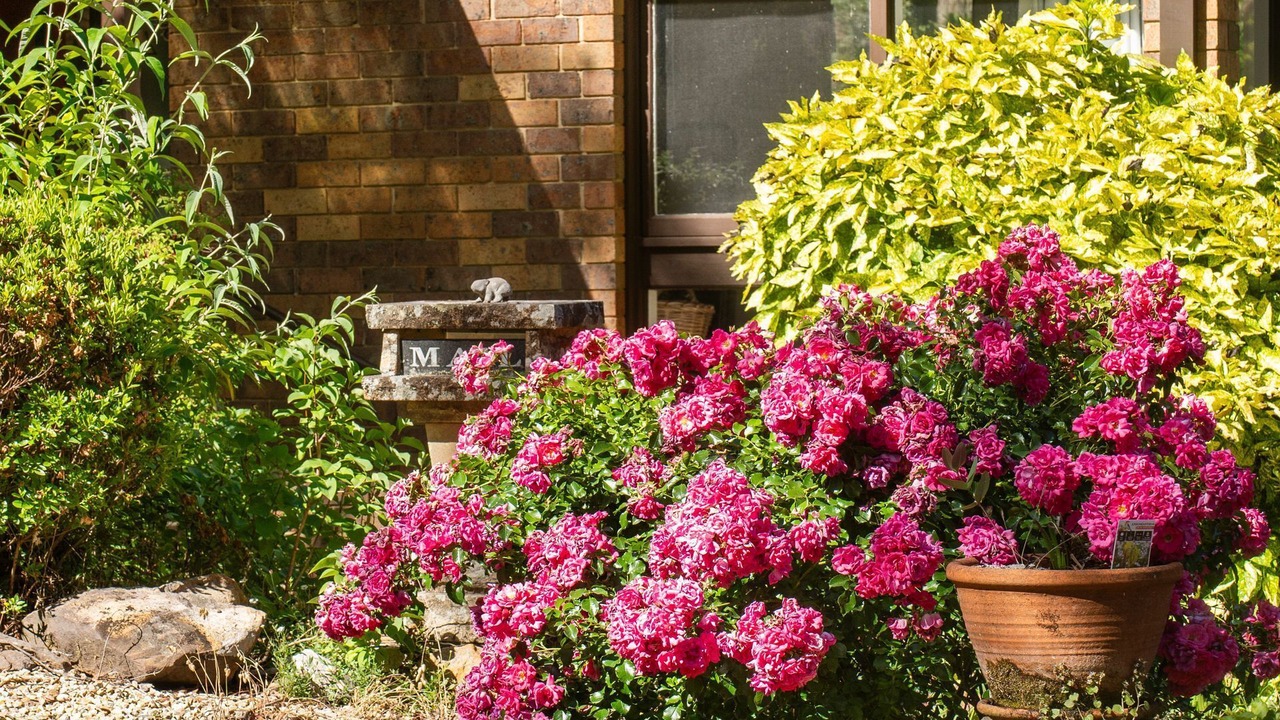 Photo of Outdoor in Blackheath