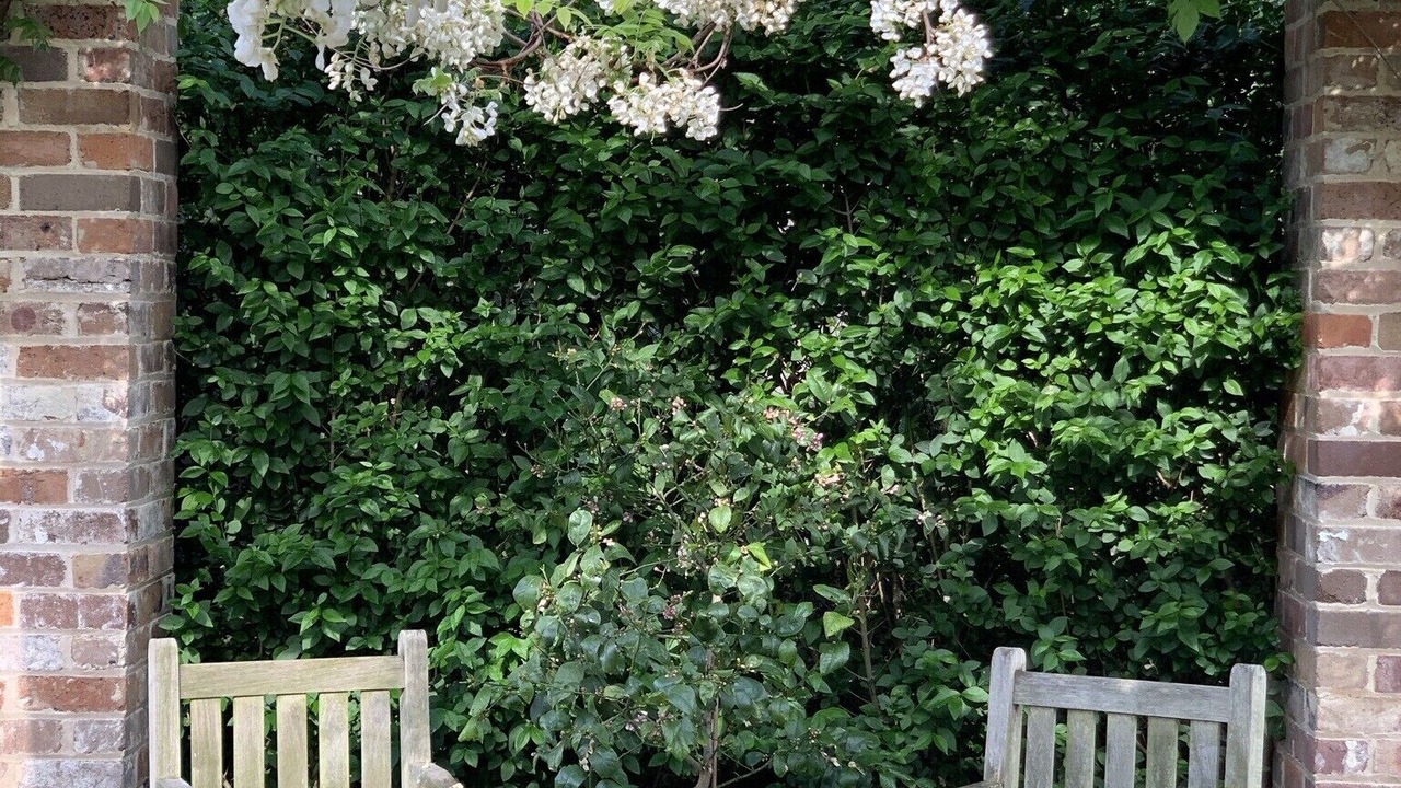 Photo of Outdoor in Bowral
