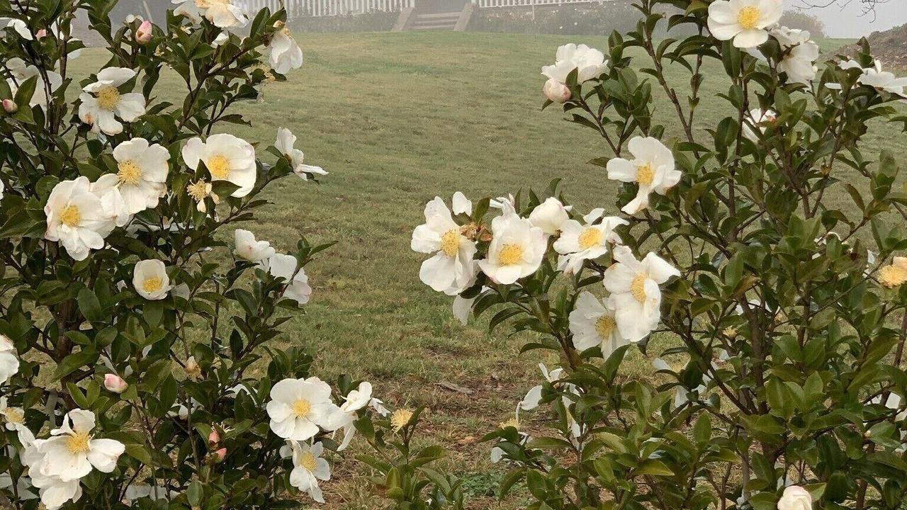 Photo of Outdoor in Bowral