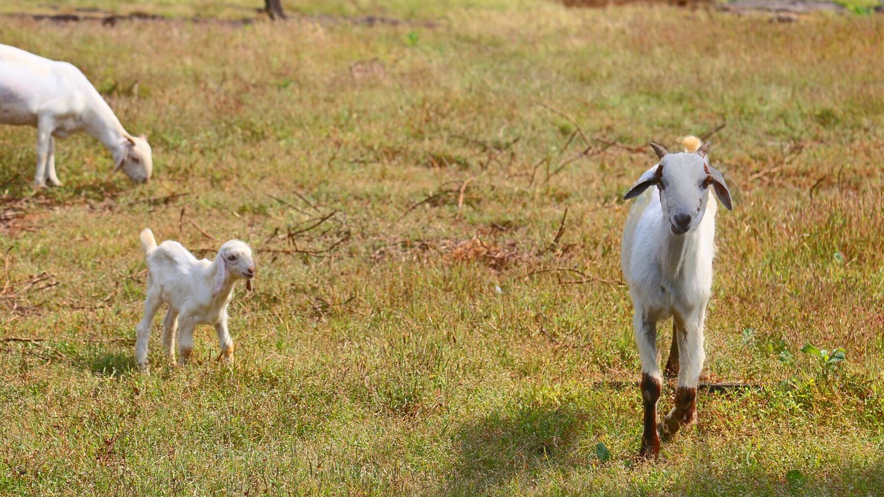 Photo of Outdoor in Lonavala