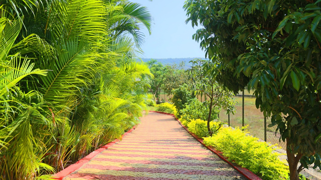 Photo of Outdoor in Lonavala