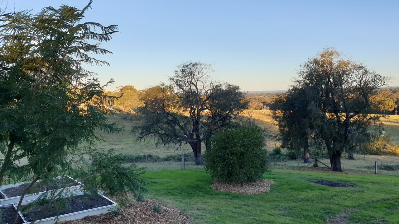 Photo of Outdoor in Mowbray Park