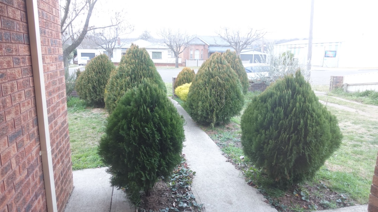 Photo of Outdoor in Goulburn