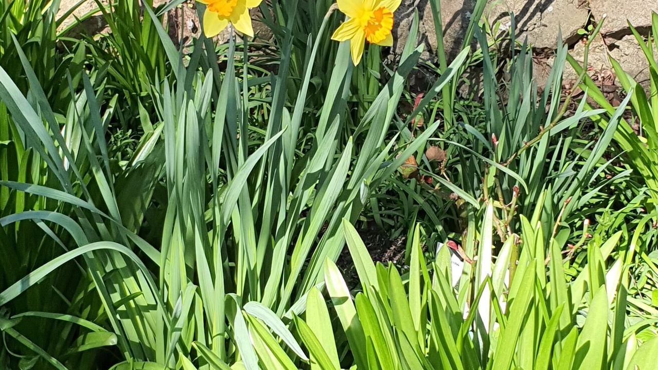 Photo of Outdoor in Bowral