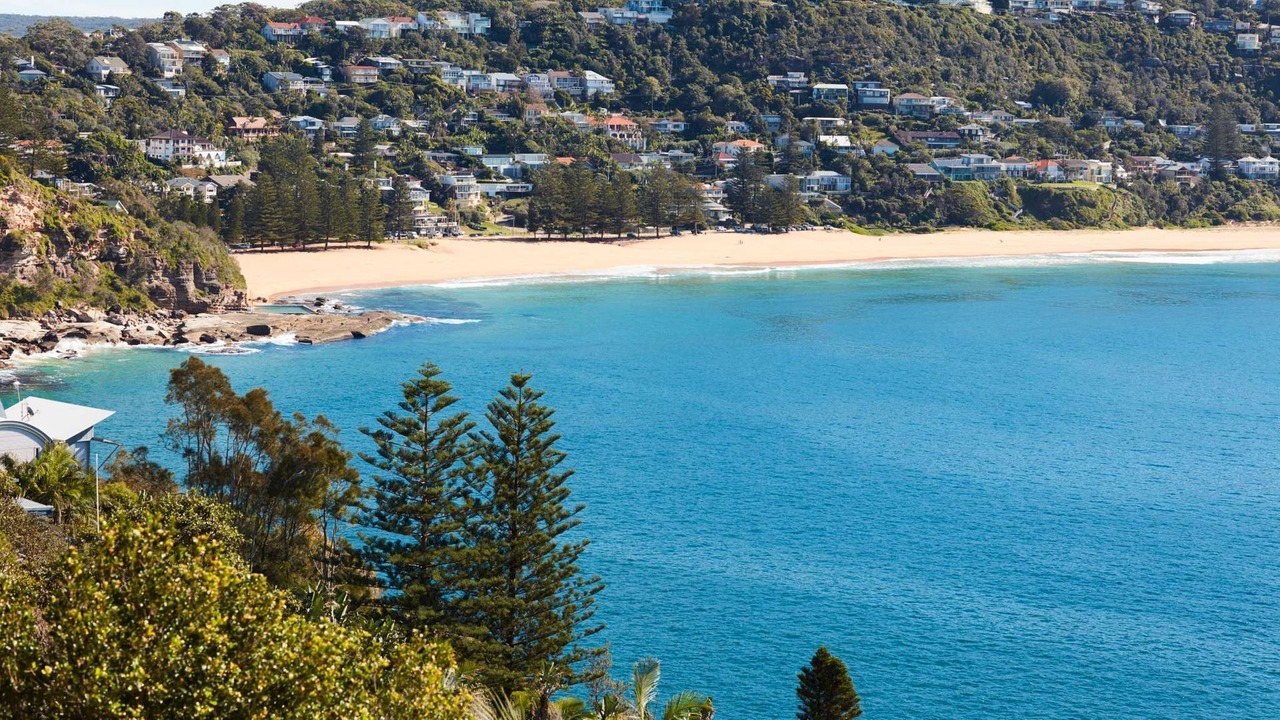 Photo of Others in Whale Beach