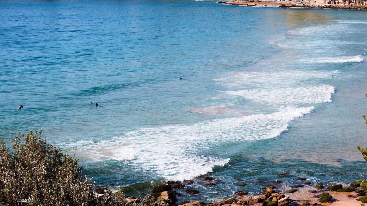 Photo of Others in Whale Beach