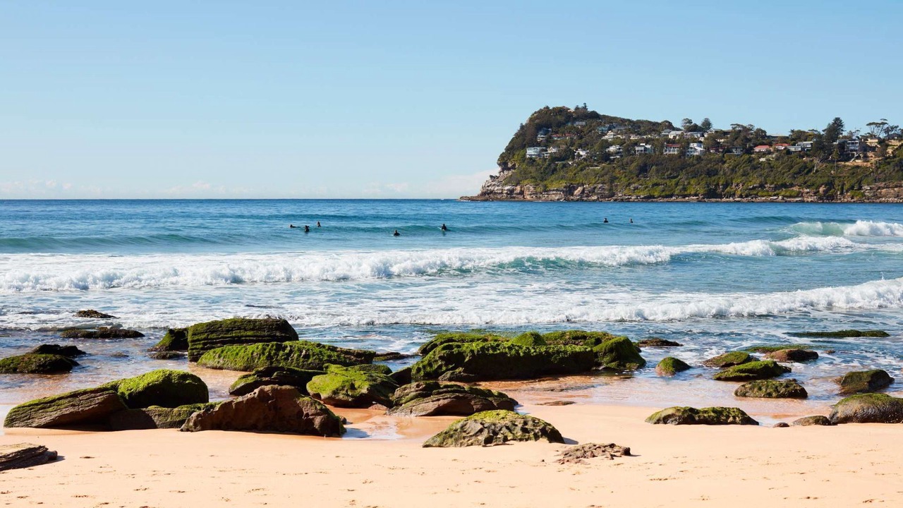 Photo of Others in Whale Beach