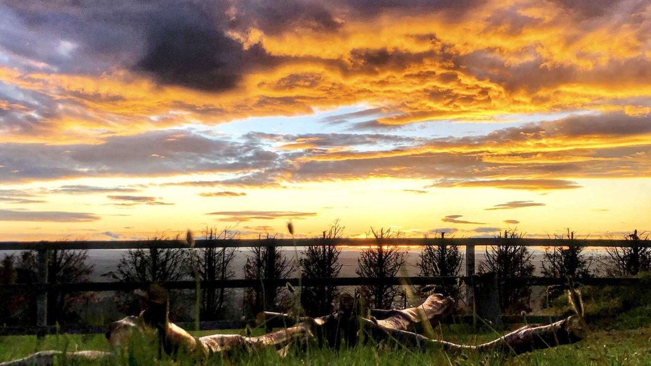 Photo of Outdoor in Razorback