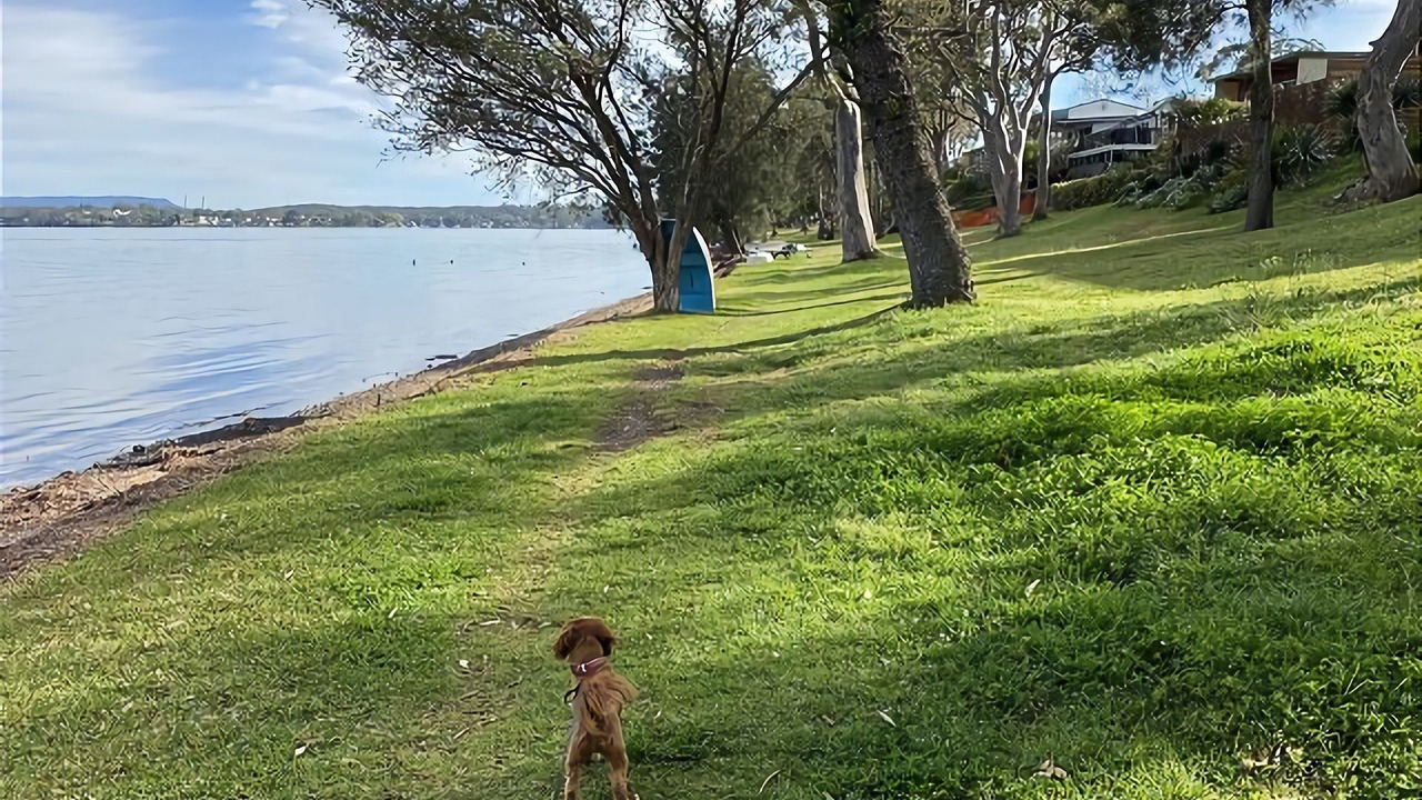 Photo of Outdoor in Summerland Point
