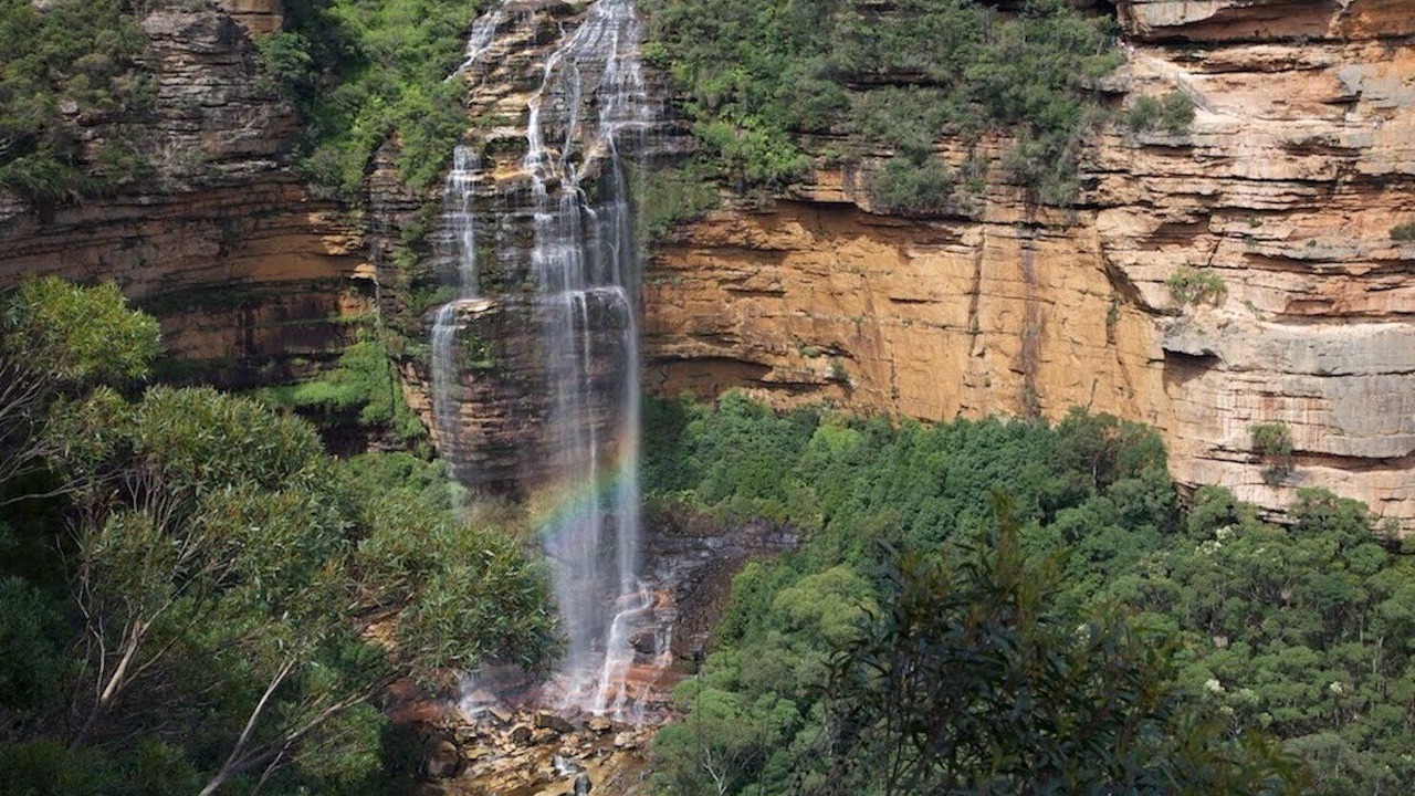 Photo of Others in Wentworth Falls