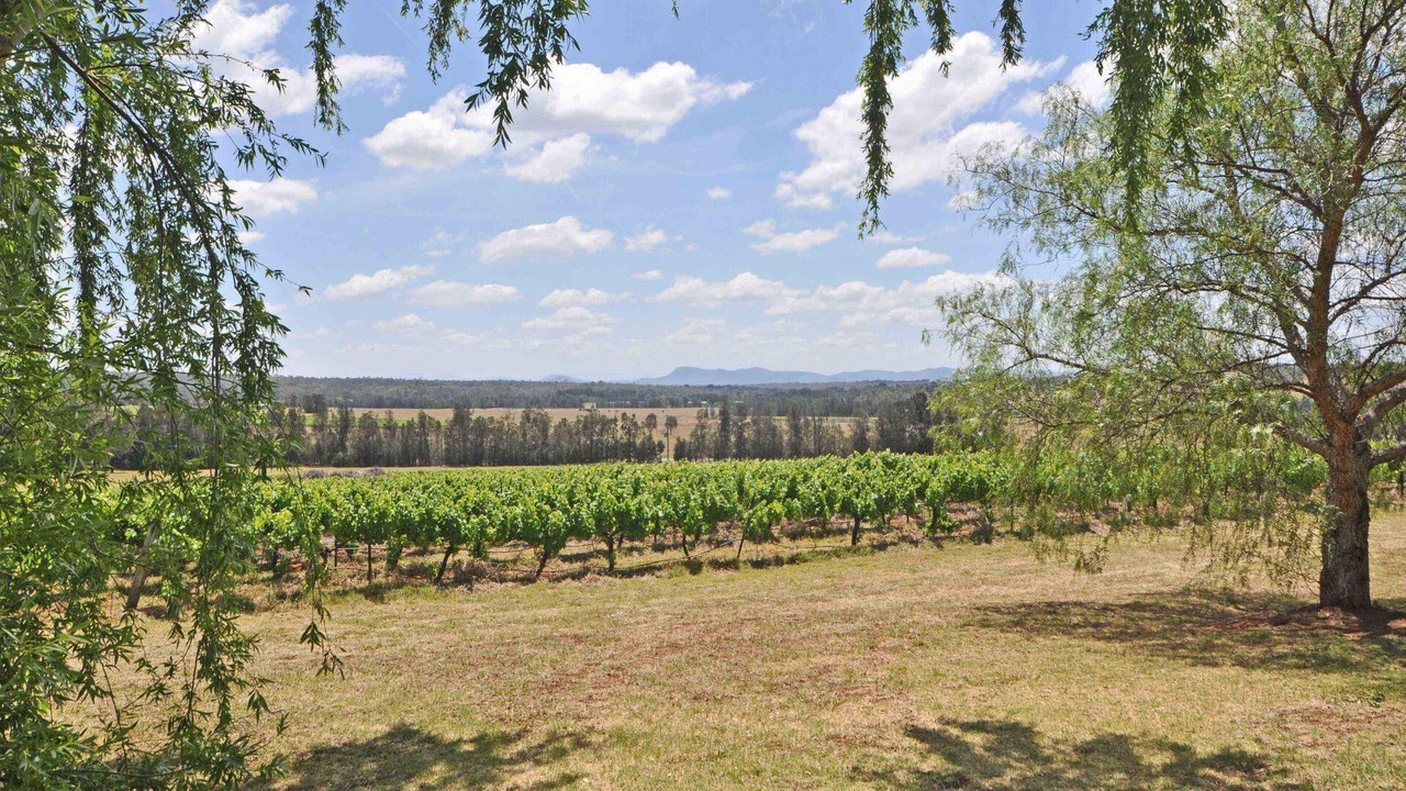 Photo of Others in Pokolbin