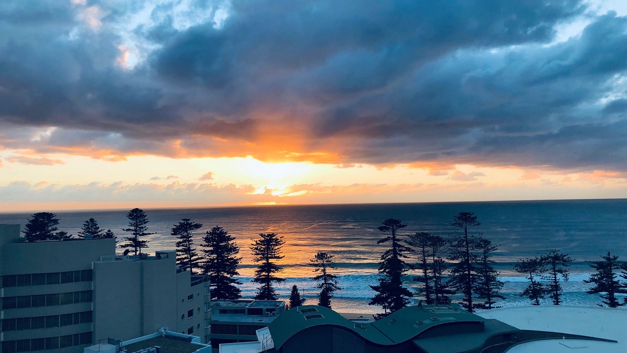 Photo of Others in Manly