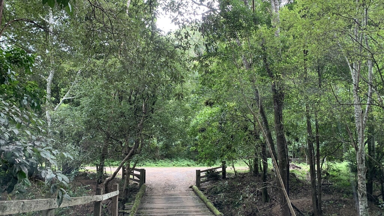Photo of Others in Cedar Brush Creek