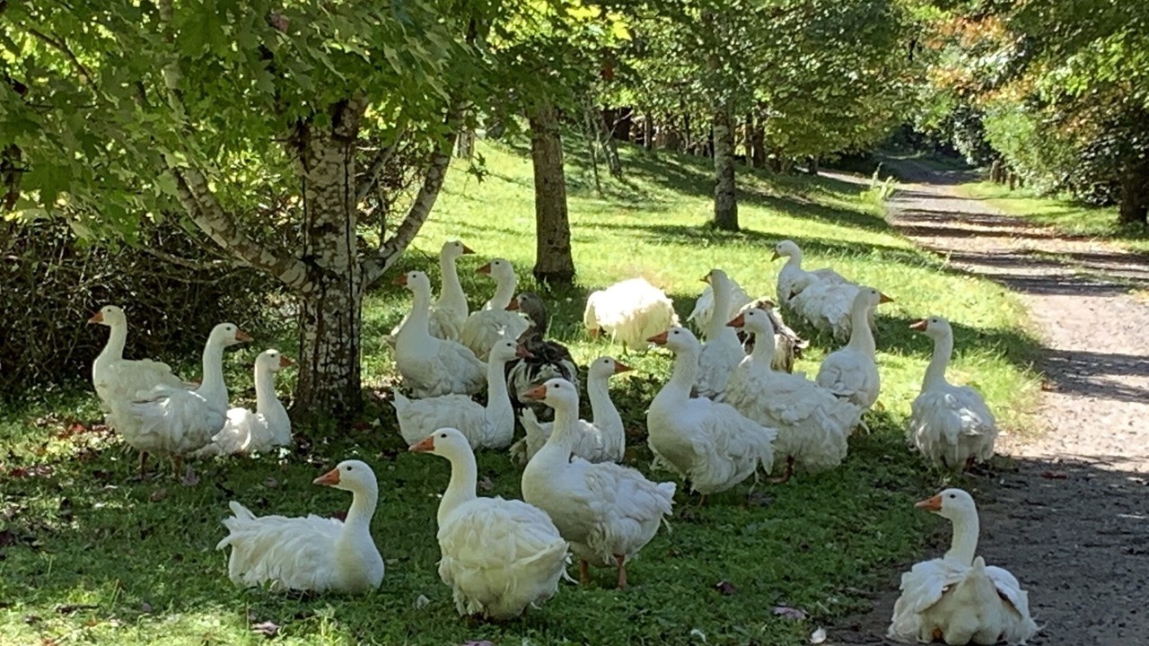 Photo of Others in Cedar Brush Creek