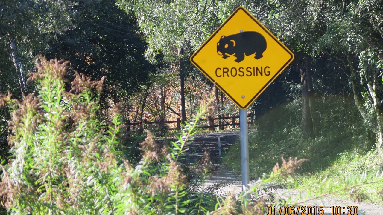 Photo of Others in Cedar Brush Creek
