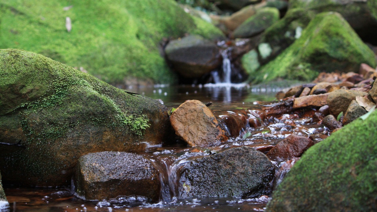 Photo of Outdoor in Calga
