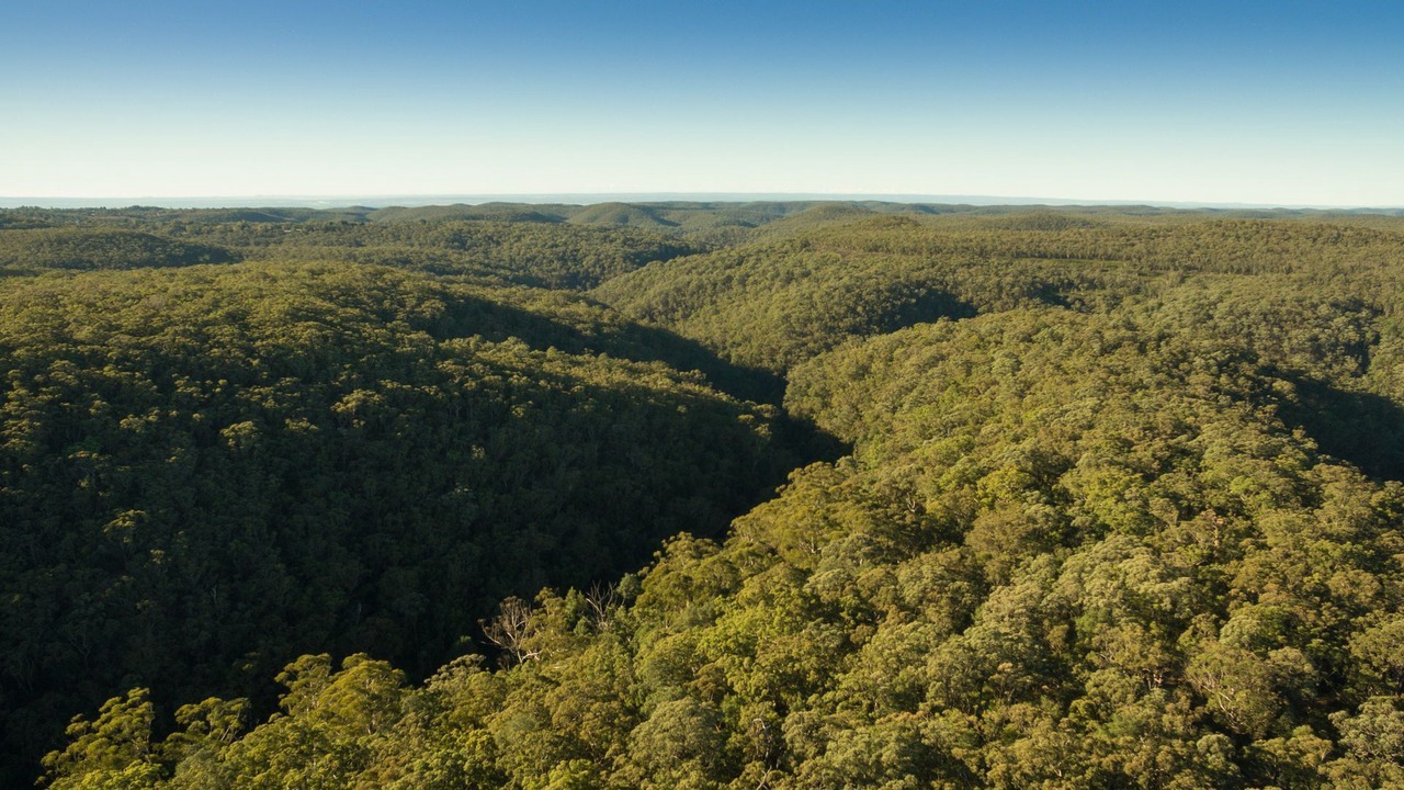 Photo of Outdoor in Bullaburra