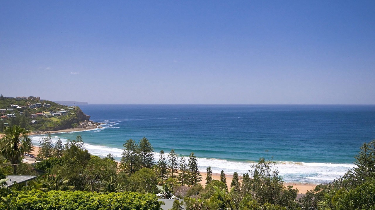 Photo of Others in Whale Beach