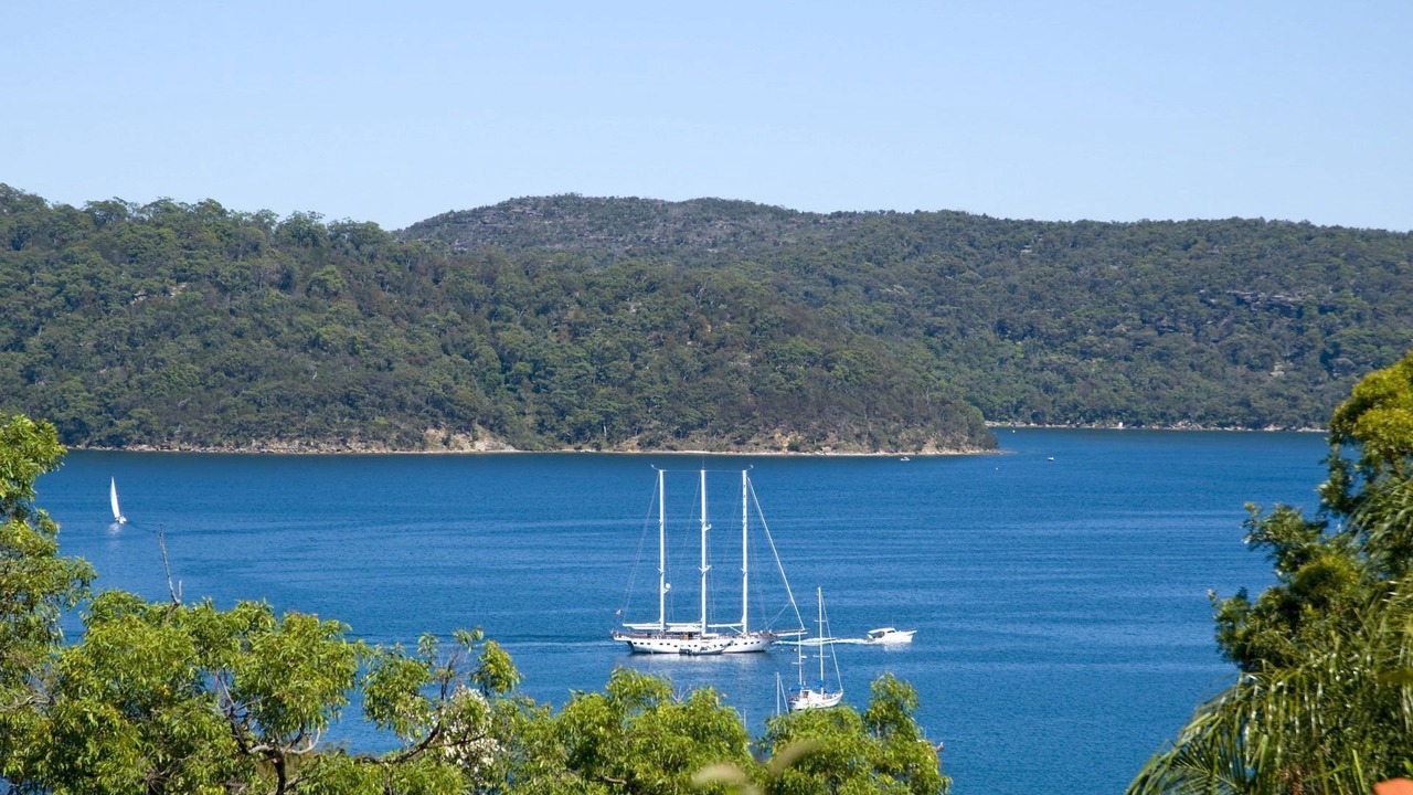 Photo of Others in Whale Beach