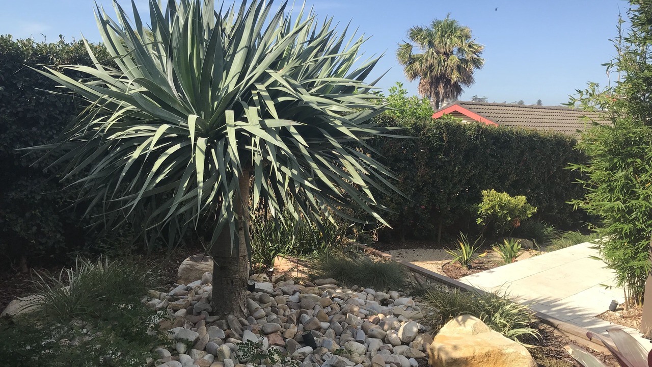 Photo of Outdoor in Curl Curl