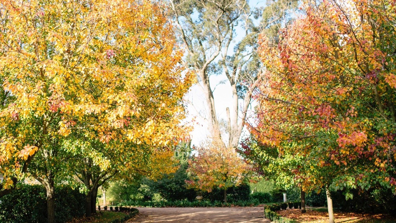 Photo of Outdoor in Woodlands