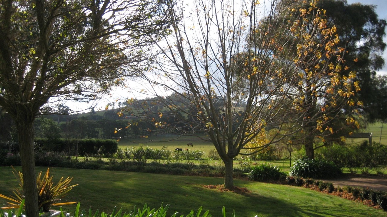 Photo of Outdoor in Woodlands