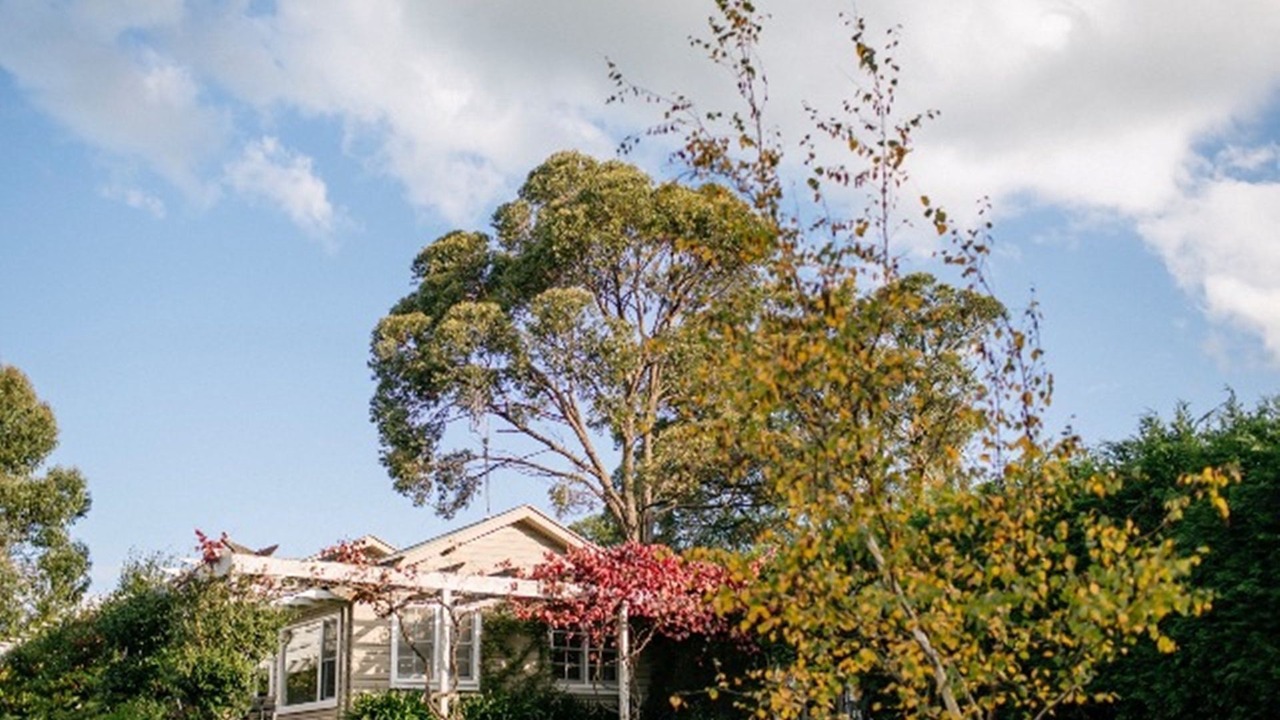 Photo of Outdoor in Woodlands