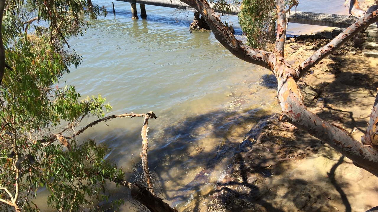 Photo of Others in Dangar Island
