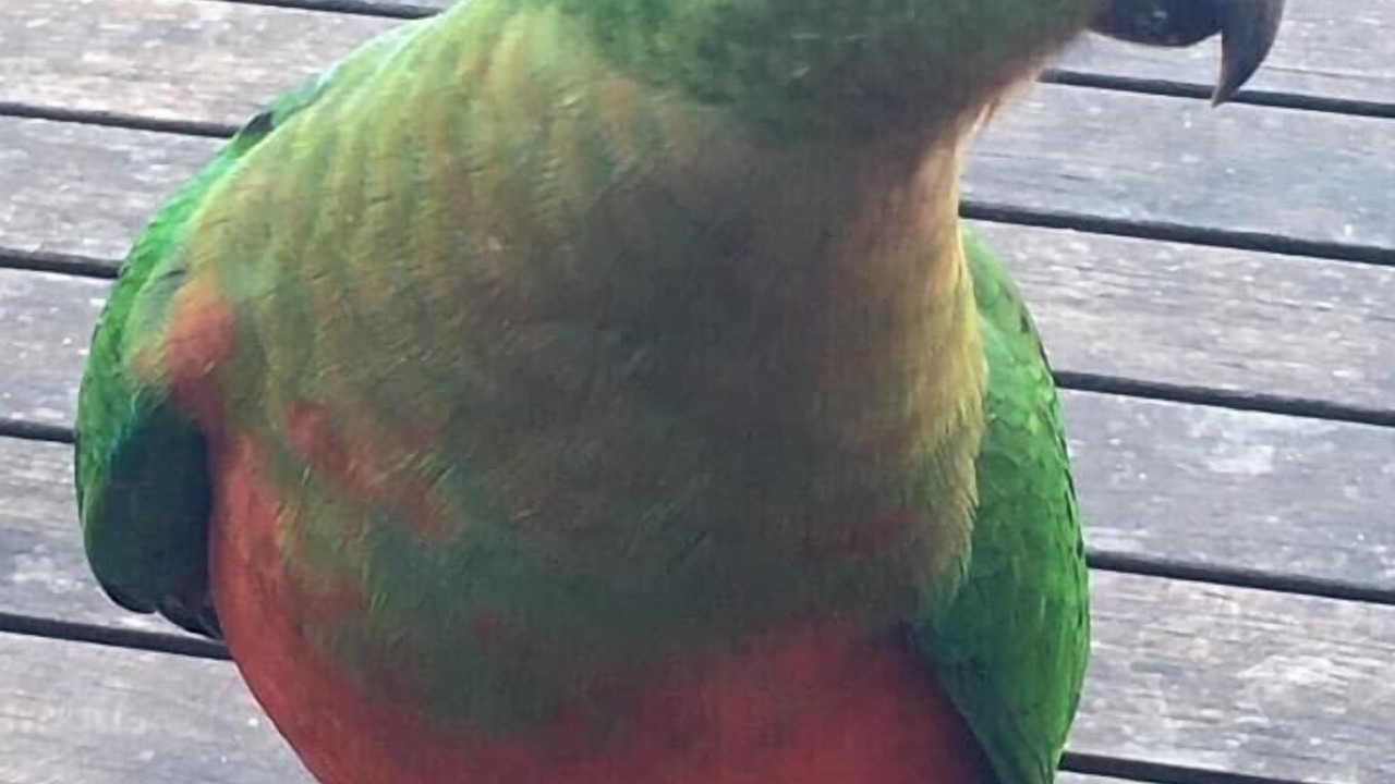 Photo of Others in Dangar Island