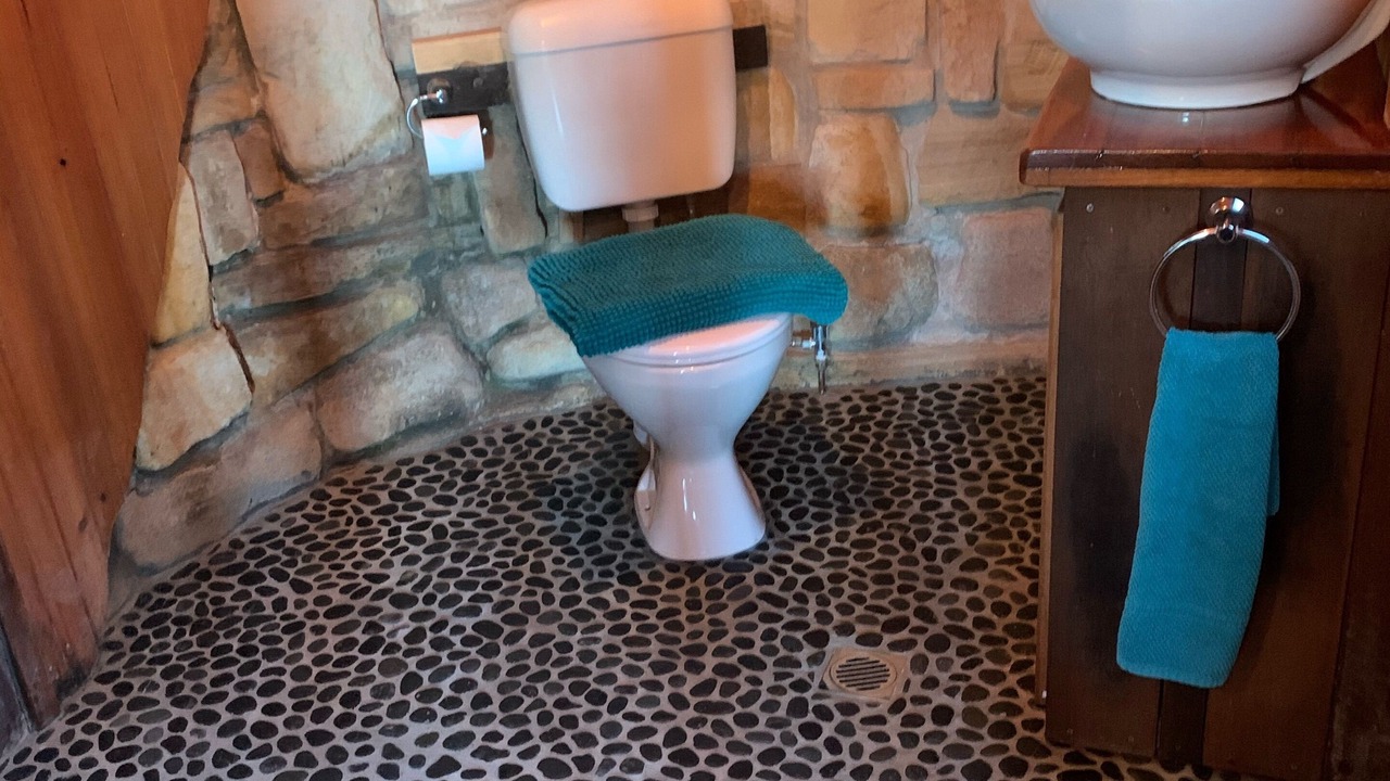 Photo of Bathroom in Dangar Island