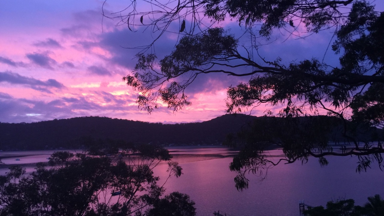 Photo of Others in Dangar Island