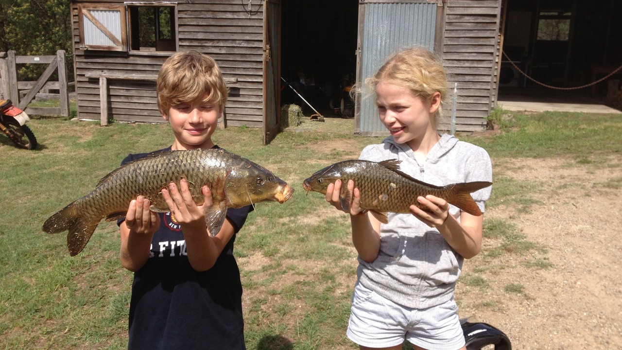 Photo of Outdoor in Wollombi