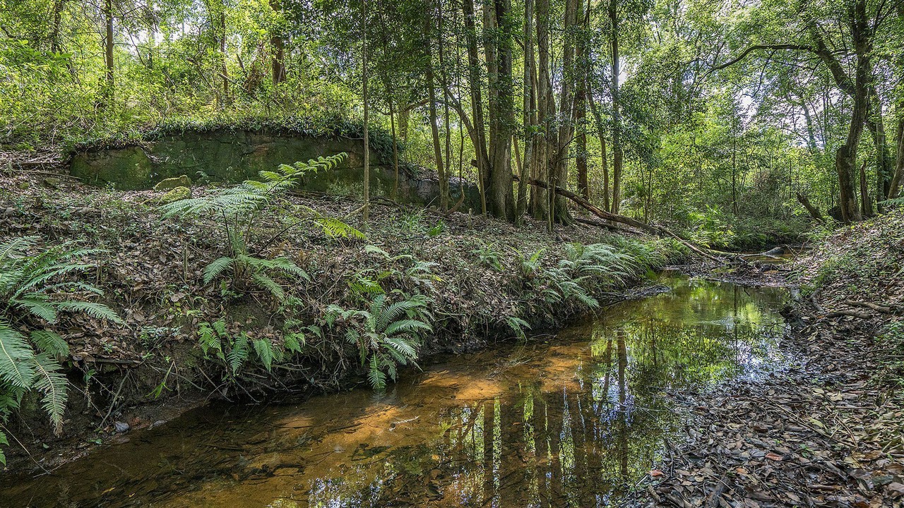 Photo of Others in Ourimbah