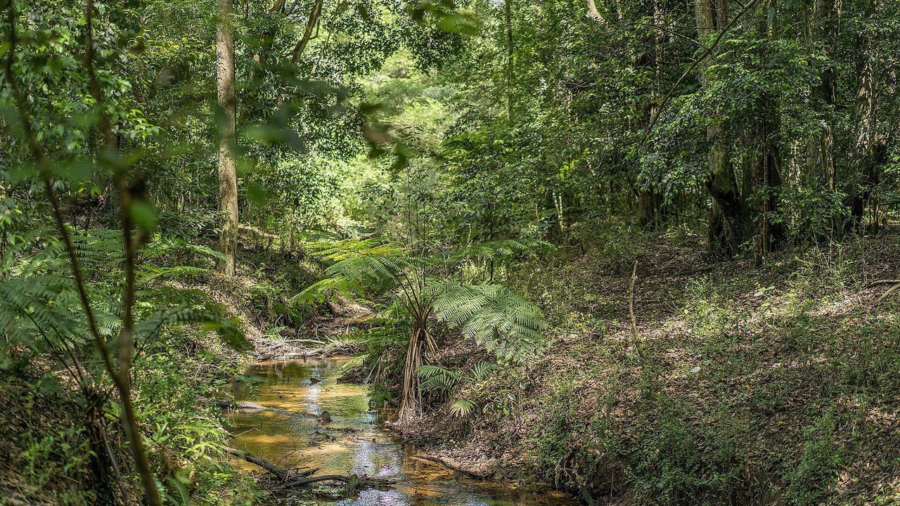 Photo of Others in Ourimbah