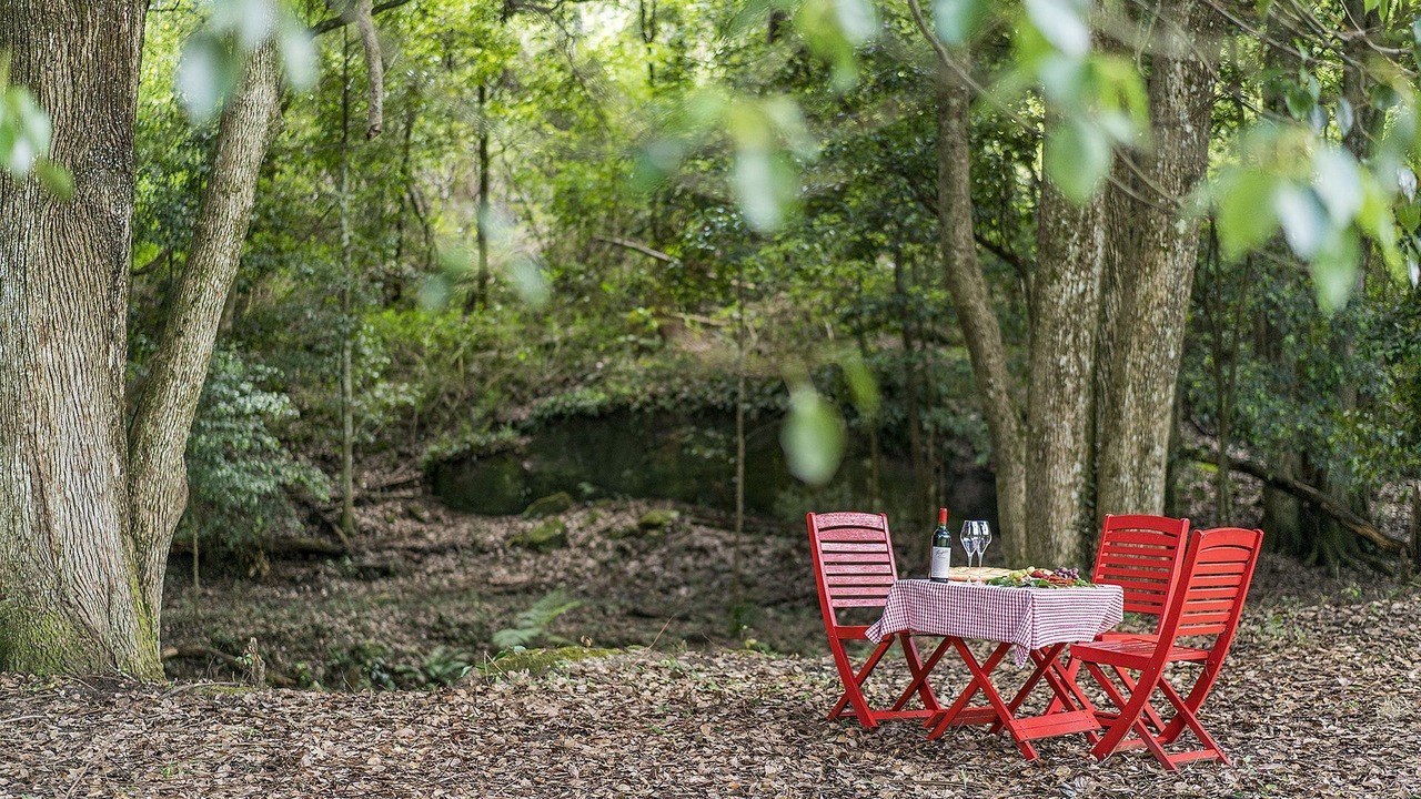 Photo of Others in Ourimbah
