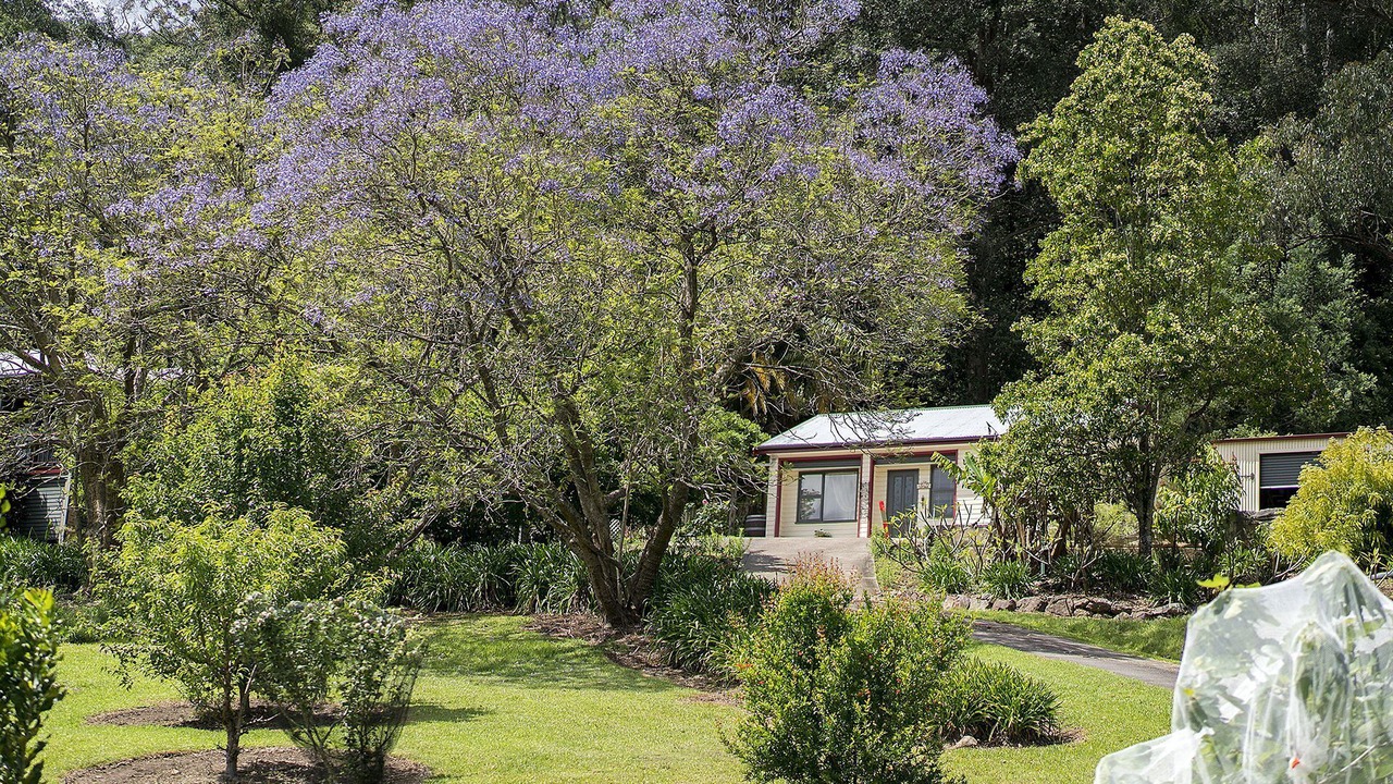 Photo of Others in Ourimbah