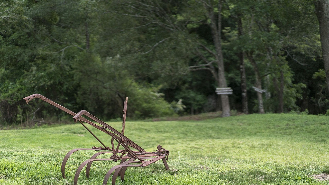 Photo of Others in Ourimbah