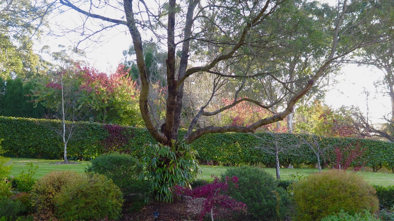 Photo of Outdoor in Bowral