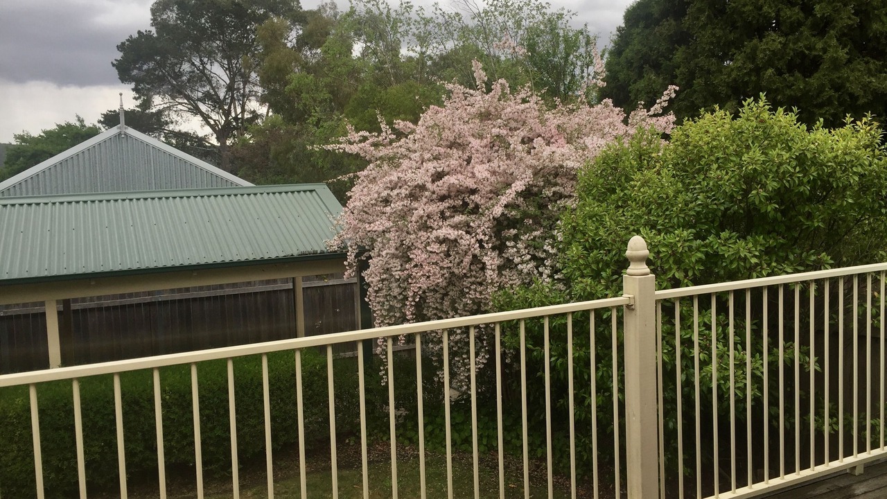 Photo of Outdoor in Mittagong