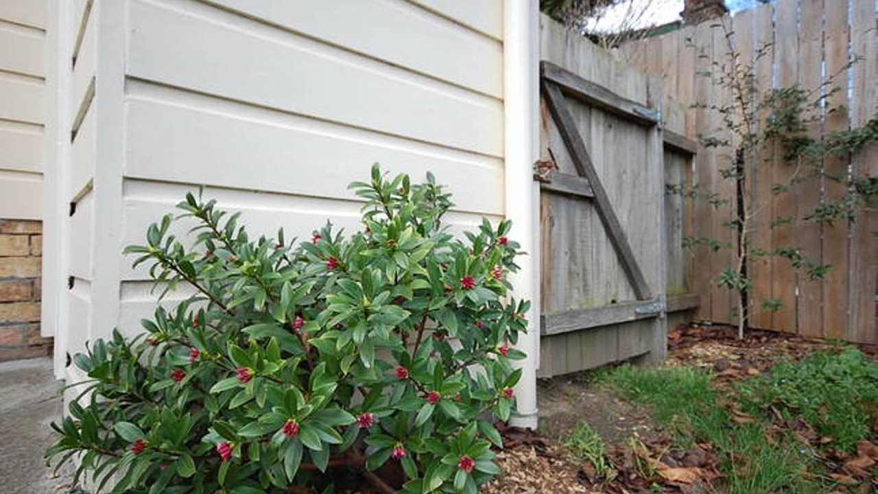 Photo of Outdoor in Mittagong