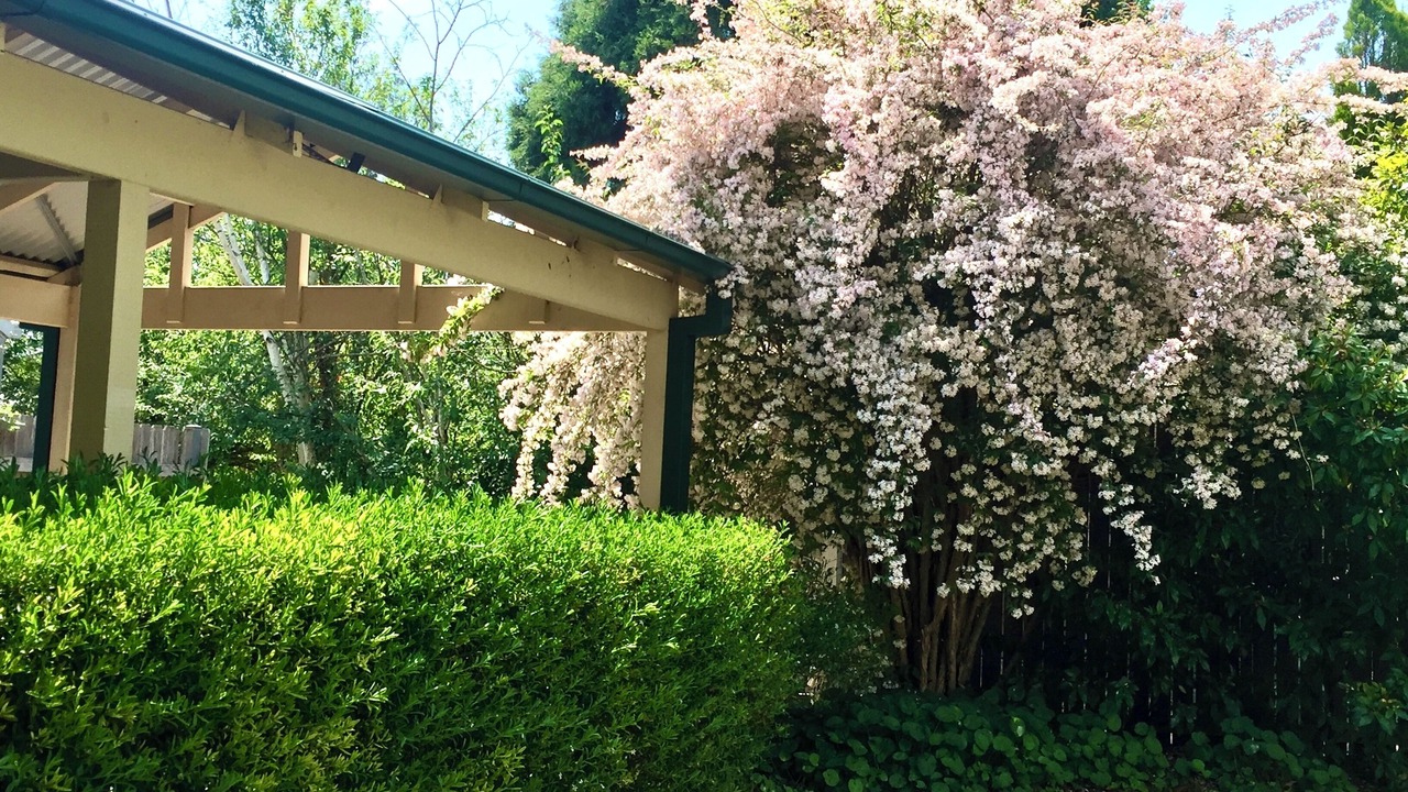 Photo of Outdoor in Mittagong