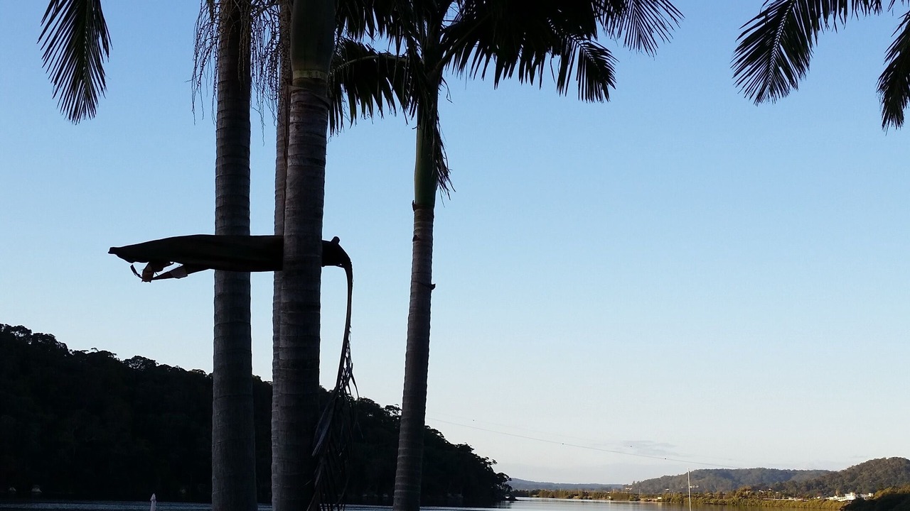 Photo of Outdoor in Woy Woy