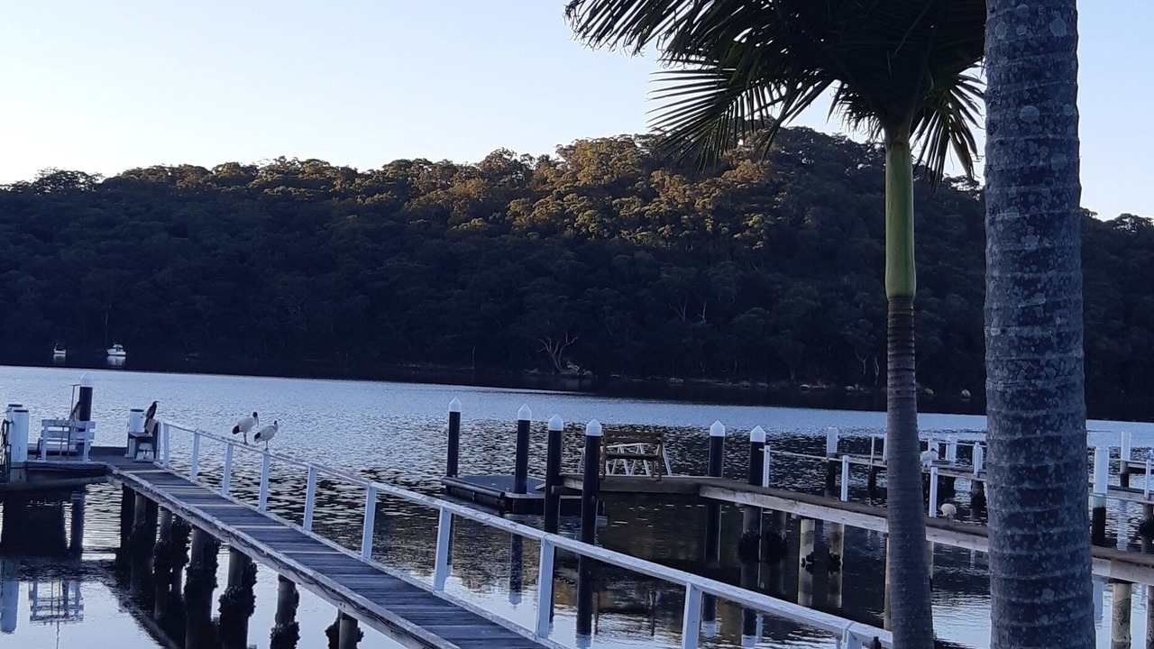 Photo of Outdoor in Woy Woy
