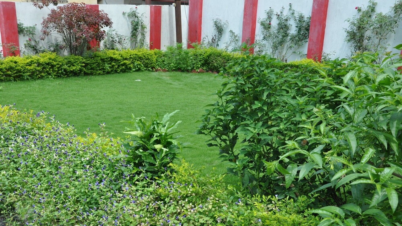 Photo of Outdoor in Rishikesh