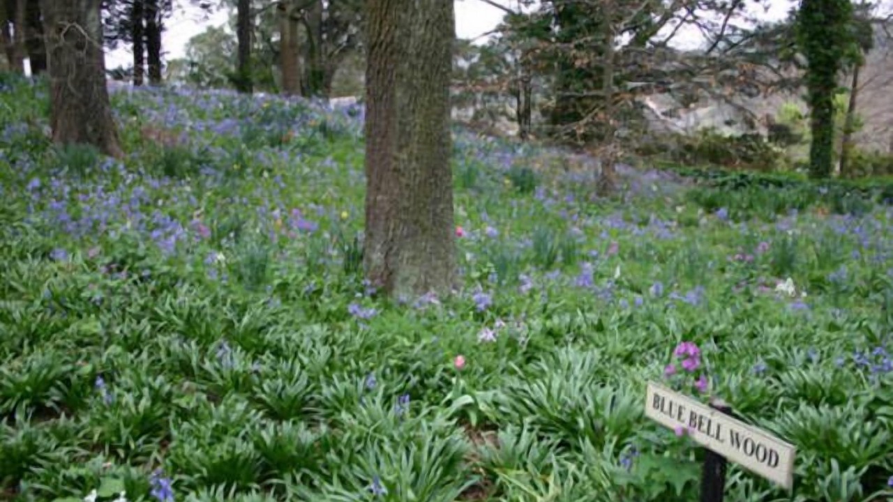 Photo of Outdoor in East Bowral