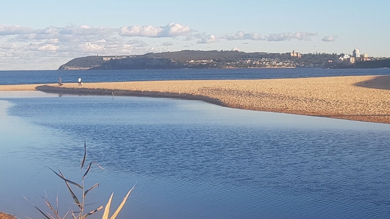 Photo of Others in North Curl Curl