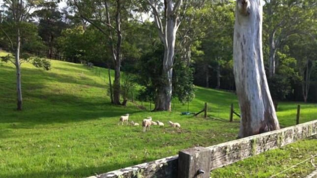 Photo of Outdoor in Kurrajong