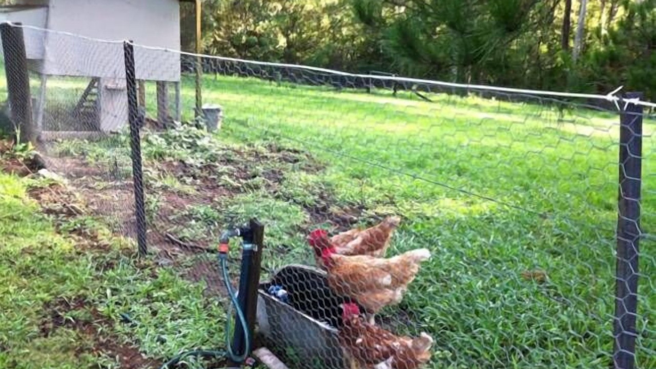 Photo of Outdoor in Kurrajong