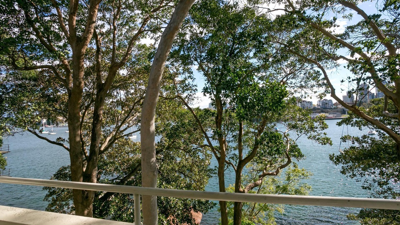 Photo of Others in Kurraba Point